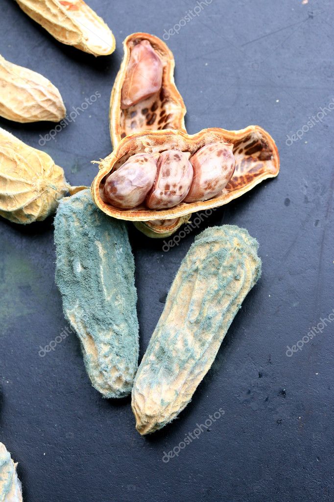moldy peanuts